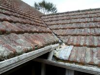HCS roof claytiles poor visual appearance