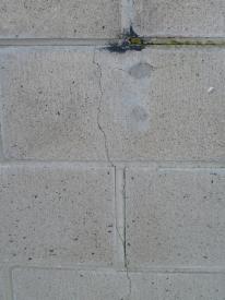 cracked concrete block2