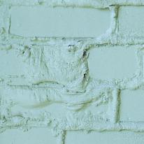 paint failure caused by dampness in bricks