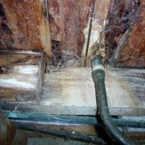 HCS subfloor mould on underside of flooring