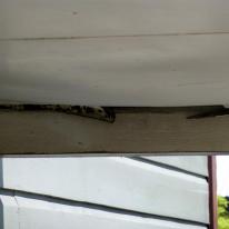 HCS walls splitting and rot in soffit boards