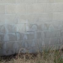 concrete blocks efflorescence damp
